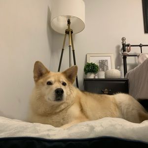 Meet your Posher, Savannah